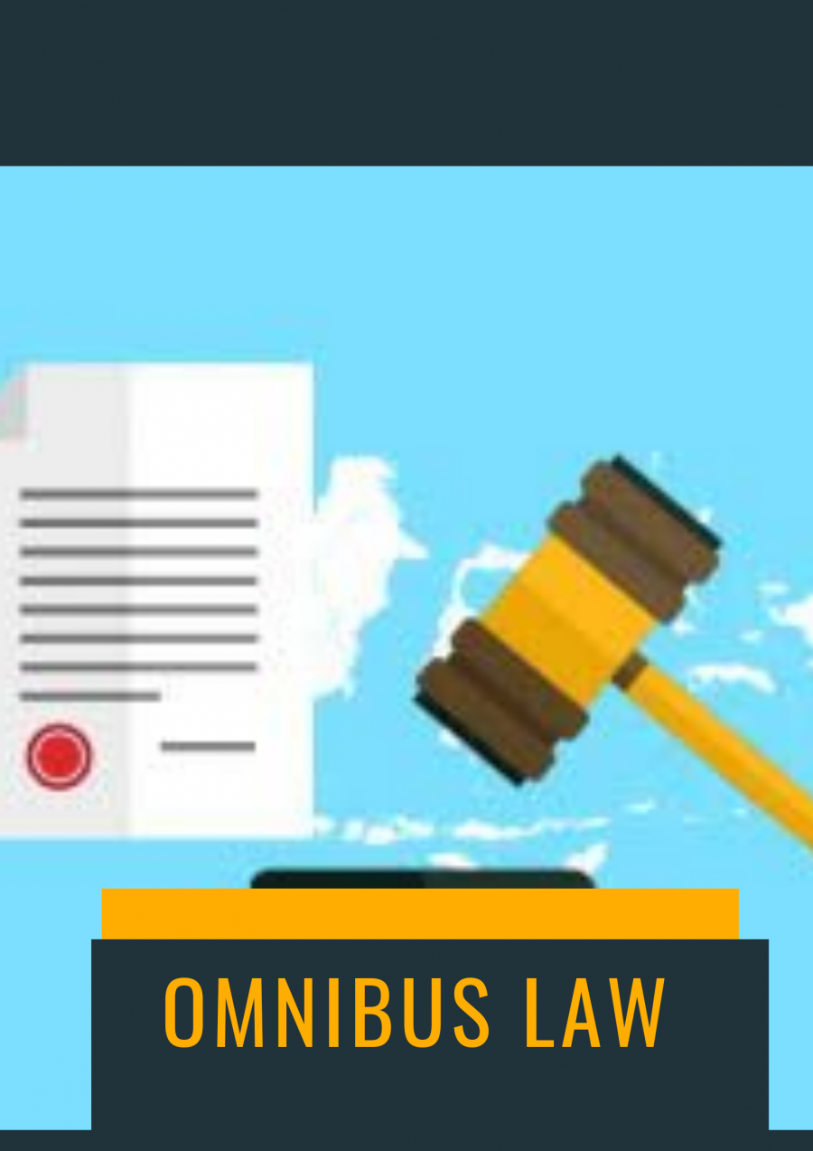 Dibalik Polemik Wacana Omnibus Law di Indonesia