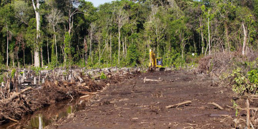 Hutan Semakin Gundul, Volume Banjir di Tanjung Selor Meningkat
