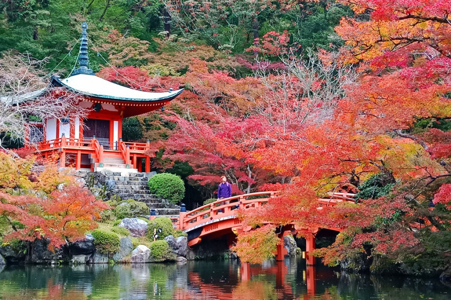 Ke Jepang Sekarang Sudah Murah, Ini Cara Menekan Budget Perjalanan Ke Jepang