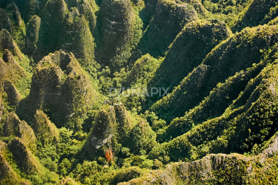 GAMBAR KARST SANGKULIRANG (Copyright: Djuna Ivereigh)