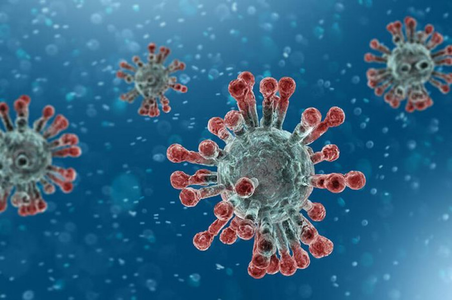 Virus Corona ( Foto: nationalgeographic.grid.id/ PCMA)