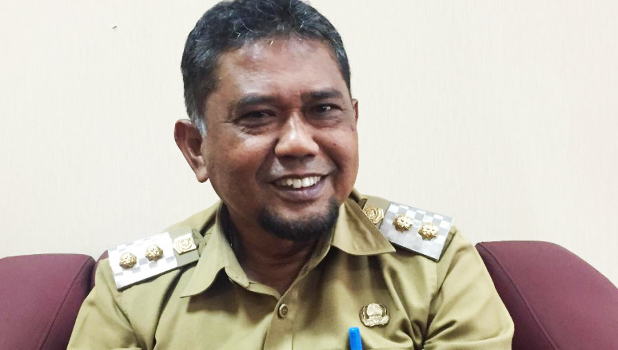Wakil Bupati (Wabup) PPU, Hamdam