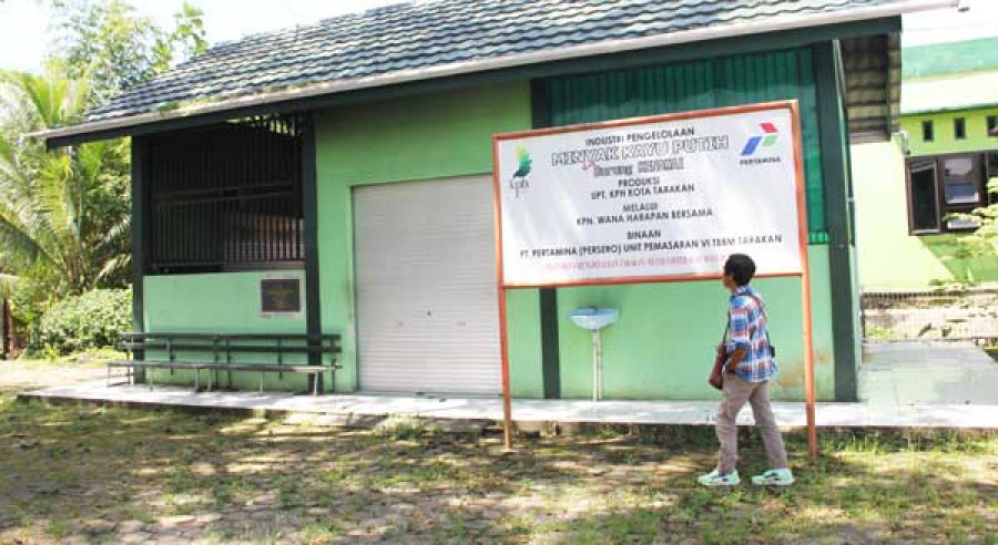 Usaha Minyak Kayu Putih Khas Tarakan Terseok-seok
