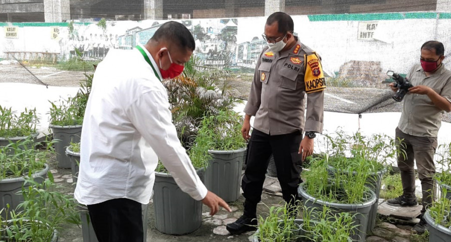 Kombes Pol Turmudi saat menunjukkan budidaya ikan lele dan kangkung sebagai upaya ketahanan pangan. ( Foto: Yudi/Korankaltimcom)