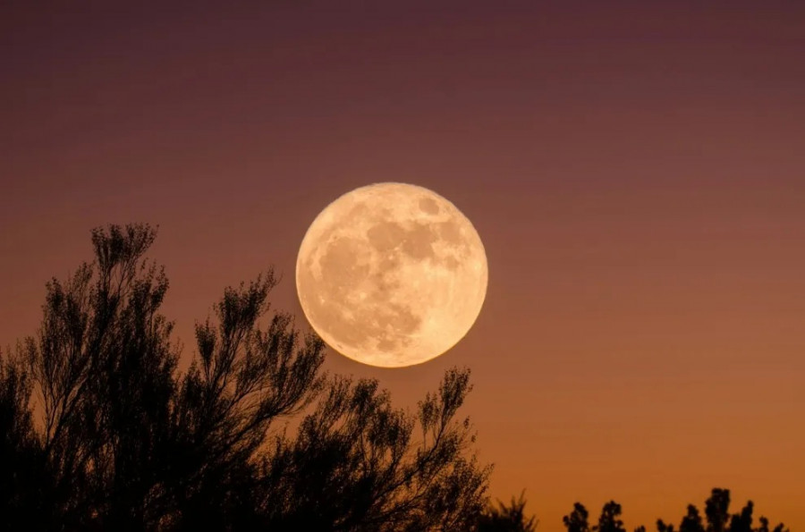 Bulan akan terlihat lebih besar dan lebih terang saat Supermoon berlangsung dua hari lagi dan dapat dilihat dengan mata telanjang, termasuk di Indonesia. (scientimes.com)