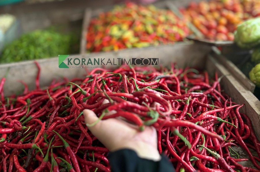 Harga Cabai di Pasar Petung Penajam Bertahan Rp80 Ribu per Kilo