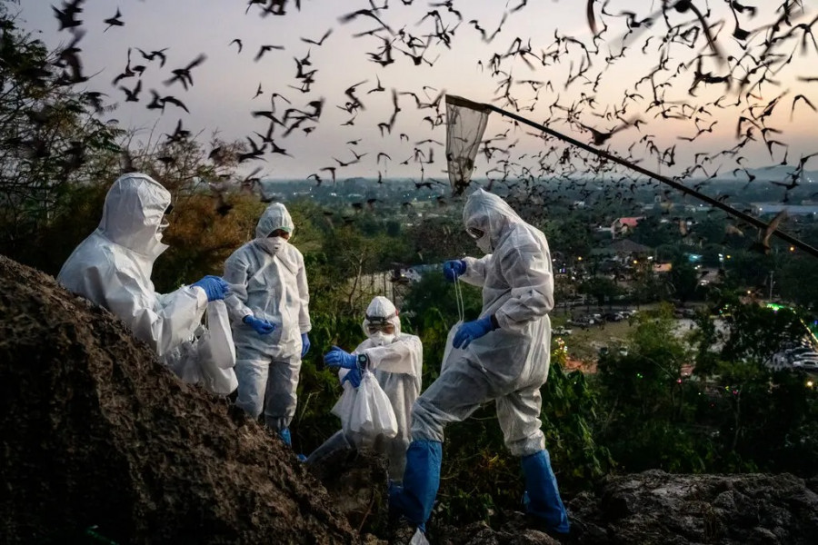 Perubahan Iklim Berpotensi Sebarkan Virus Baru