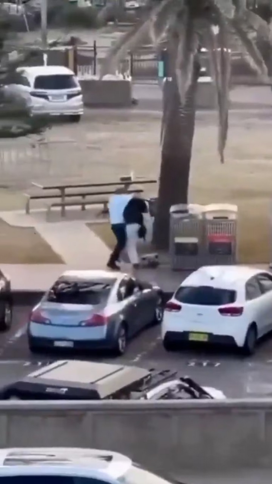 Serang Penembak di Pantai Bondi Sidney, Aksi Heroik Pria Muslim Ini Menuai Banyak Pujian