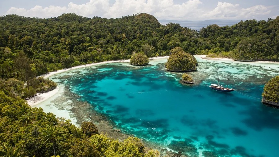 Enam Tempat Menyelam Menakjubkan di Dunia, Raja Ampat di Indonesia Satu Diantaranya