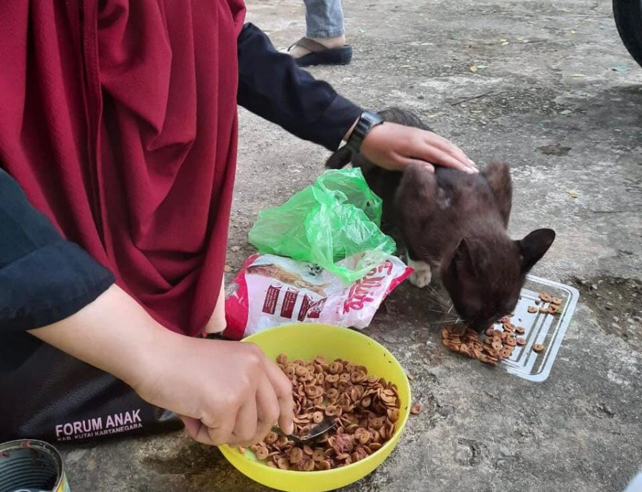 Cat Rescue Tenggarong, Upayakan Penyelamatan Hingga Bantu Biaya Operasi Kucing Jalanan Sakit Parah
