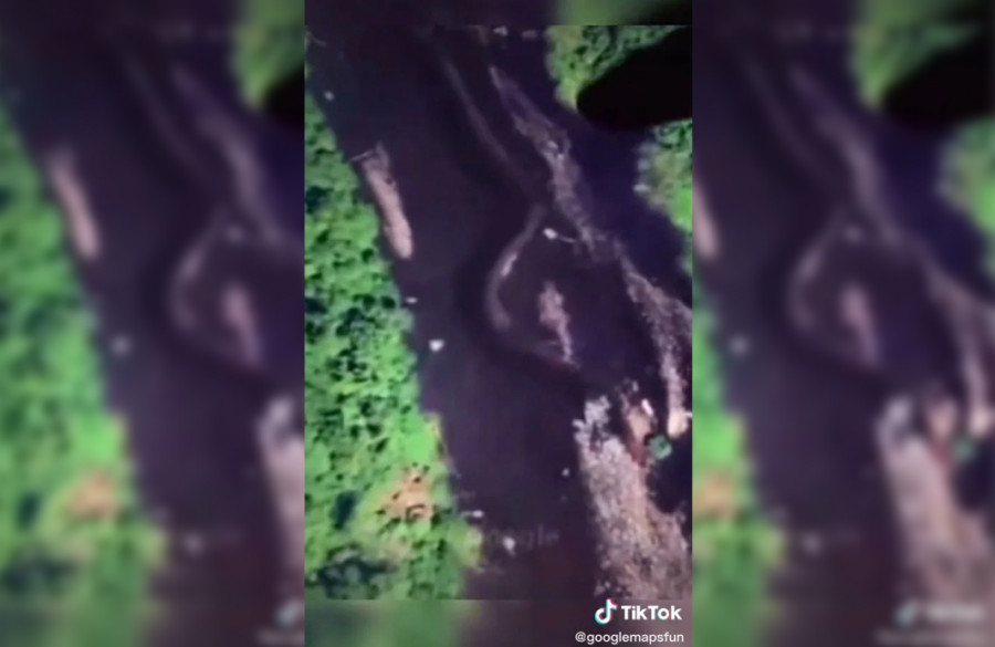 Ular Raksasa Telan Manusia di Indonesia Tertangkap Mata Elang Google Street View