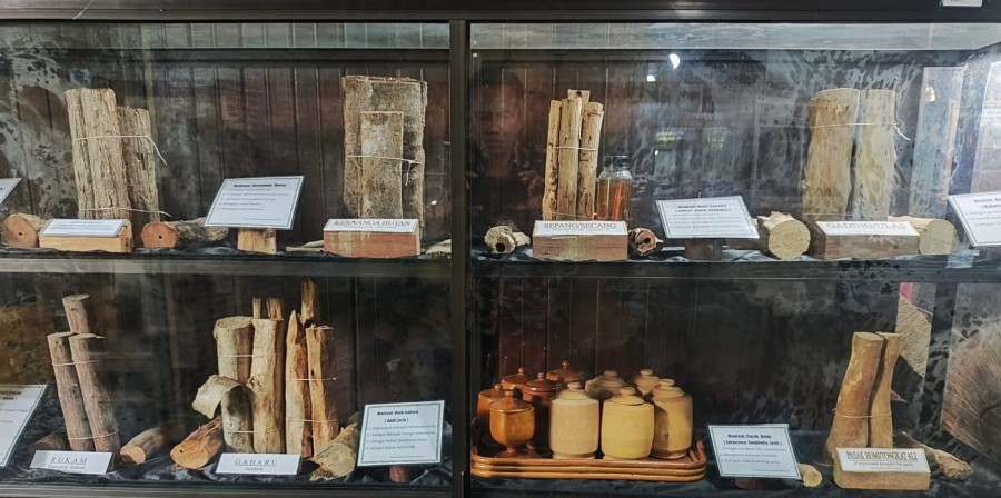 Koleksi kayu obat tradisional Museum Kayu, Kecamatan Tenggarong. (Foto: Muhammad Anshori/KoranKaltim)