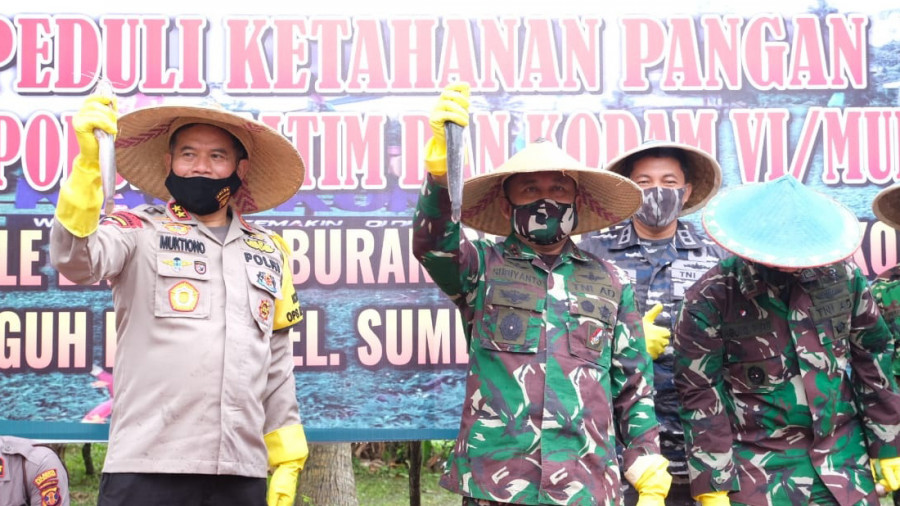Kapolda Kaltim Irjen Pol Muktiono (kiri) bersama Pangdam VI Mulawarman Mayjend TNI Subiyanto (dua kiri) saat melaksanakan panen raya kangkung dan lele. ( Foto: Yudi/korankaltimcom)