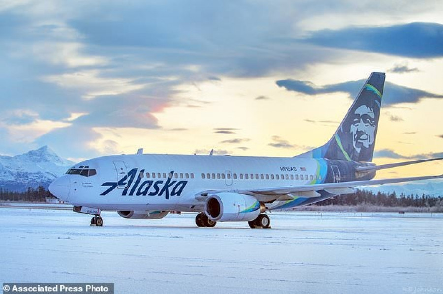 Pesawat Alaska Airlines yang menabrak beruang sampai mati di landasan pacu Yakutat, Alaska. (dailymail)