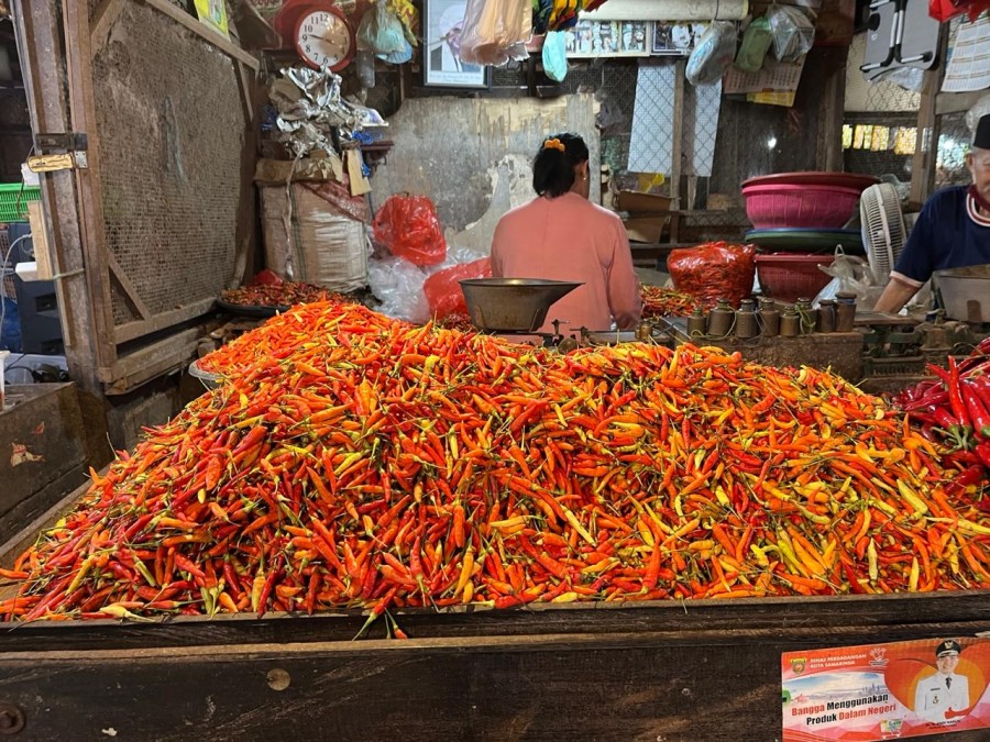 Tak Ada Pasokan, Harga Cabai di Kaltim Sempat Capai Rp200 Ribu