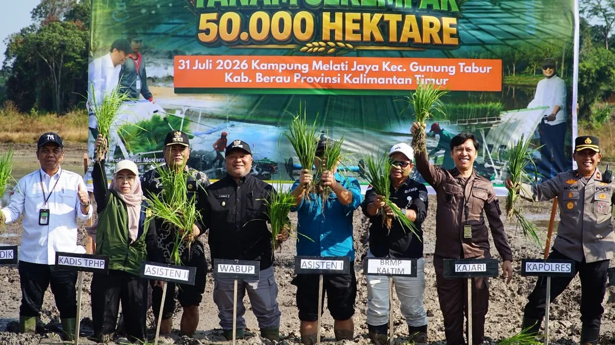 Bidik 2.000 Hektare Sawah Baru, Berau Kejar Target Swasembada Pangan