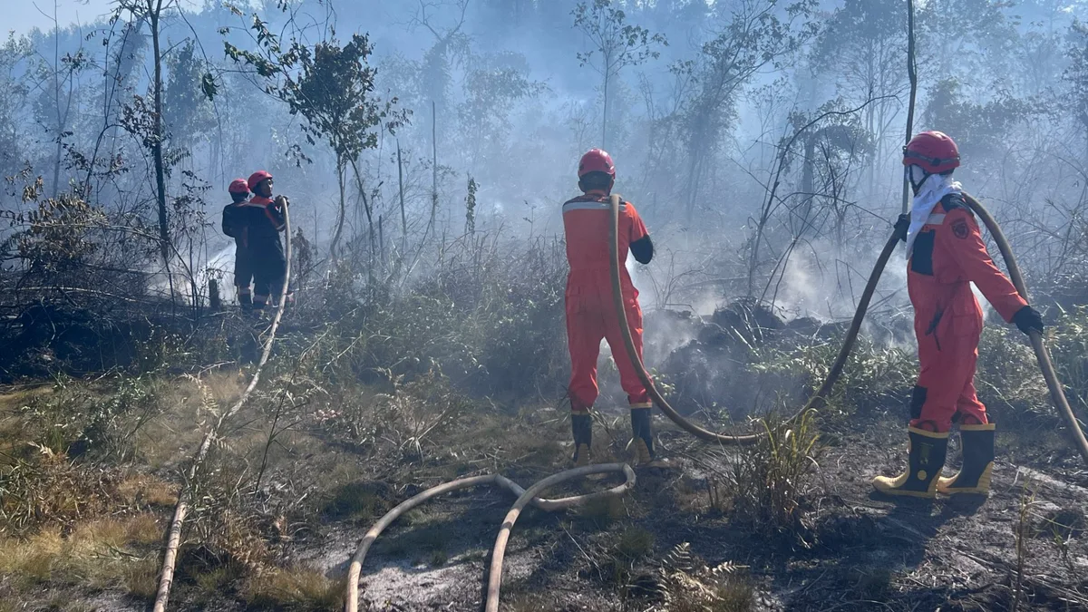 Suhu Tembus 37,1 Derajat, BPBD Berau Waspadai Lonjakan Karhutla di Puncak Kemarau