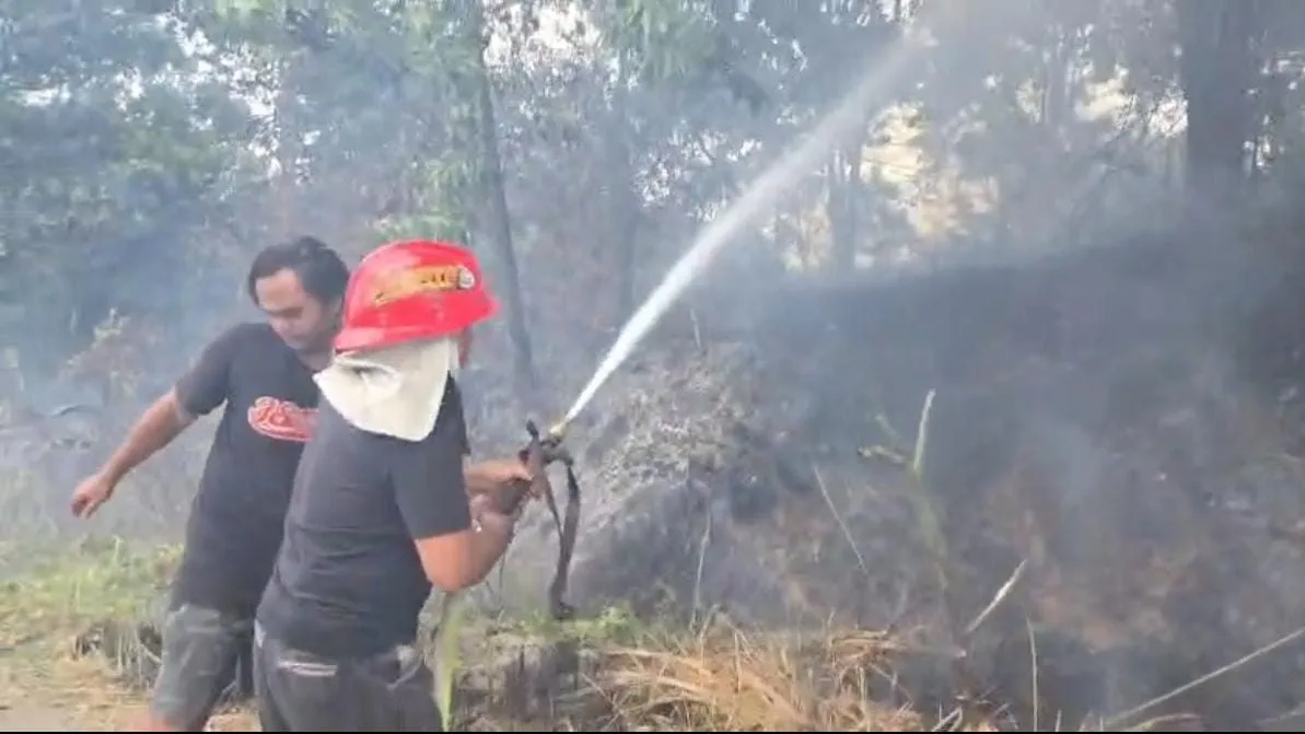 Petugas saat melakukan pemadaman di karhutla. (Foto: BPBD kota Samarinda)