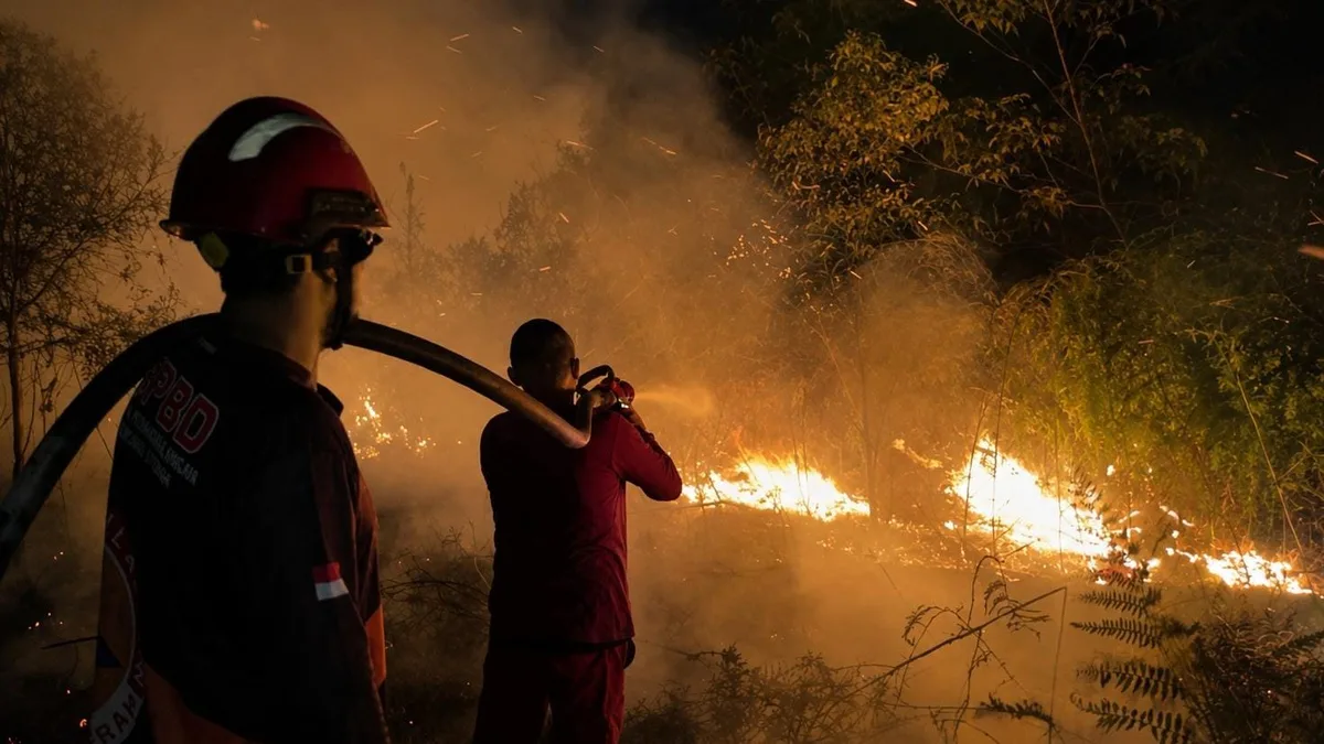 Lahan Gambut Terbakar di Kampung Sempatn Kutai Barat, Api Berkobar Diatas Lahan 20 Hektare