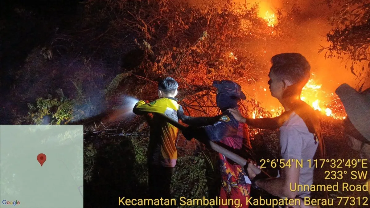 Petugas gabungan melakukan pemadaman kebakaran hutan dan lahan (karhutla) di berbagai wilayah di Kabupaten Berau. (Ist).