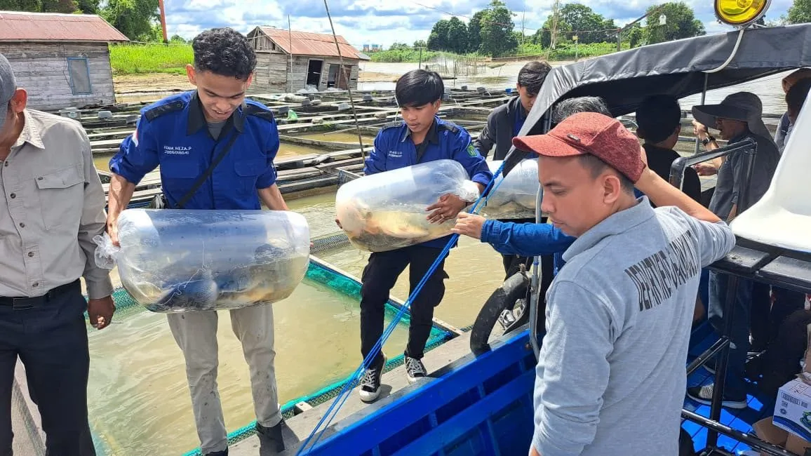 Nelayan Kecil Samarinda Rentan Terdampak Gelombang Tinggi