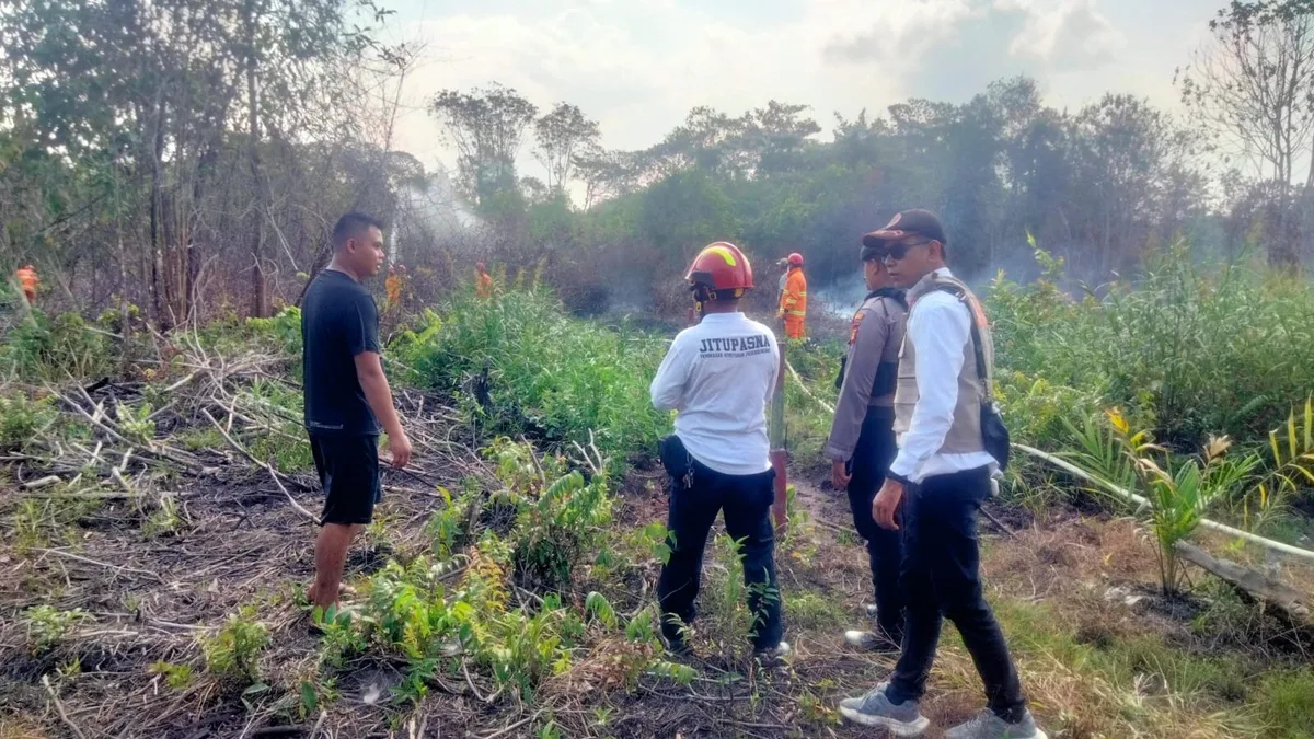 Hingga Awal Agustus BPBD Samarinda Catat 35 Kasus Karhutla di Kota Tepian, Kecamatan Samarinda Ulu Tertinggi