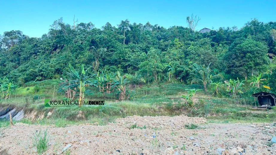 11 Kasus Karhutla di Samarinda Sepanjang Juli 2026, Puntung Rokok hingga Bakar Sampah Jadi Pemicu