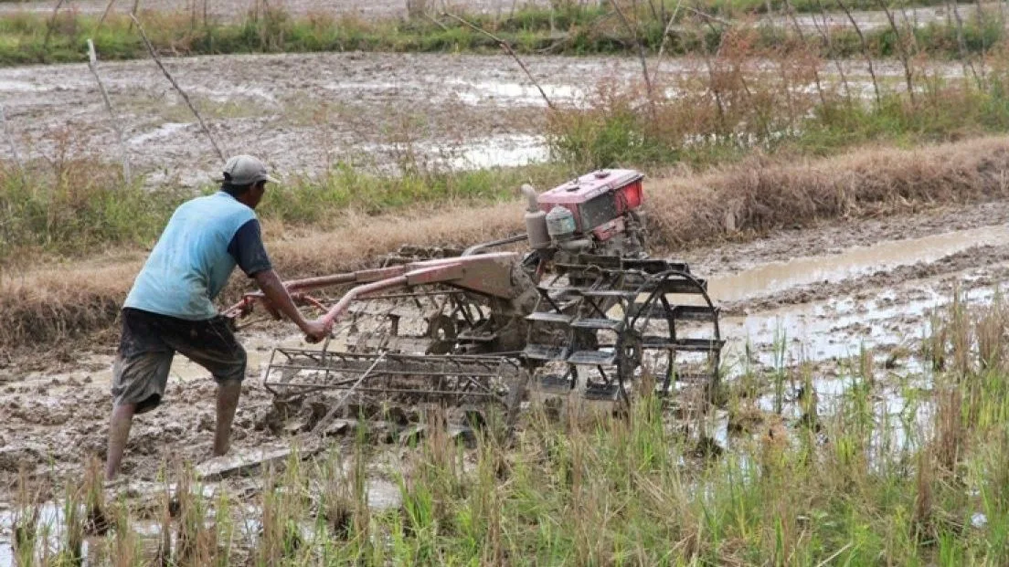Sektor pertanian, bisa diandalkan mengatasi masalah keuangan yang terjadi di Mahakam Ulu. (Foto: Dok.Antaranews)