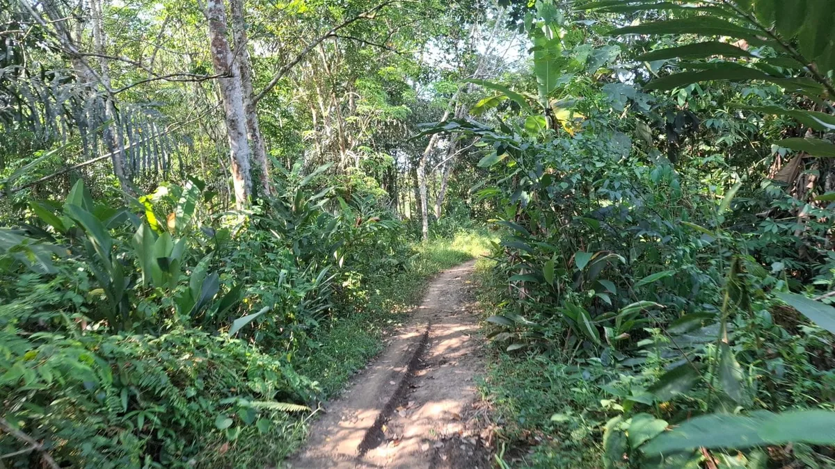 Petani Jahab Tenggarong Keluhkan Jalan Rusak, Hambat Pengangkutan Hasil Panen