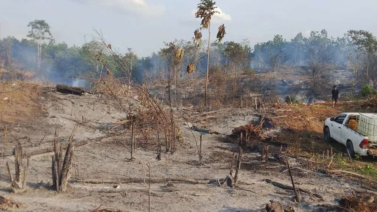Ada 923 Hotspot Mengintai Berau, Kecamatan Segah jadi Titik Terpanas Karhutla