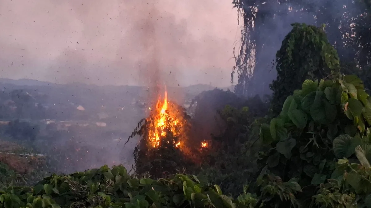 Kebakaran Hutan di Tenggarong Seberang, Asap Membumbung Sejak Sore