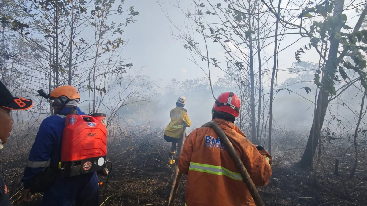 Kebakaran Lahan Gambut Meluas, Api Tinggal 10 Meter dari Rumah Warga Perum Korpri