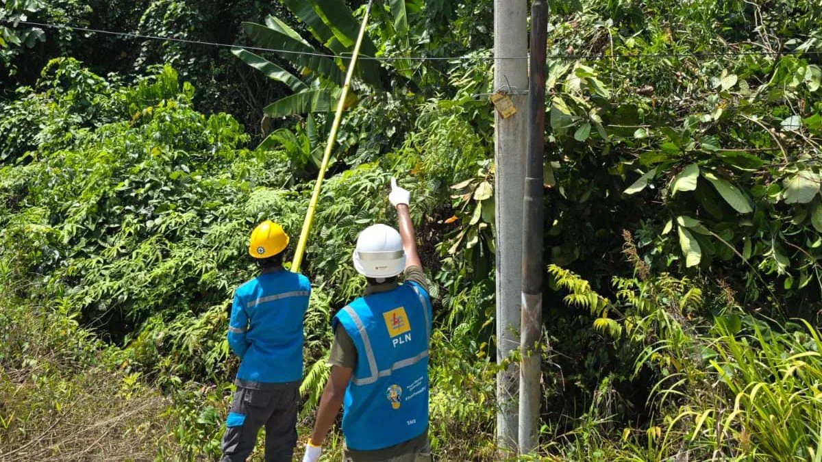 Listrik di Kubar Kerap Padam Bergilir, PLN Melak Sebut Ada Pemeliharaan dan Gangguan