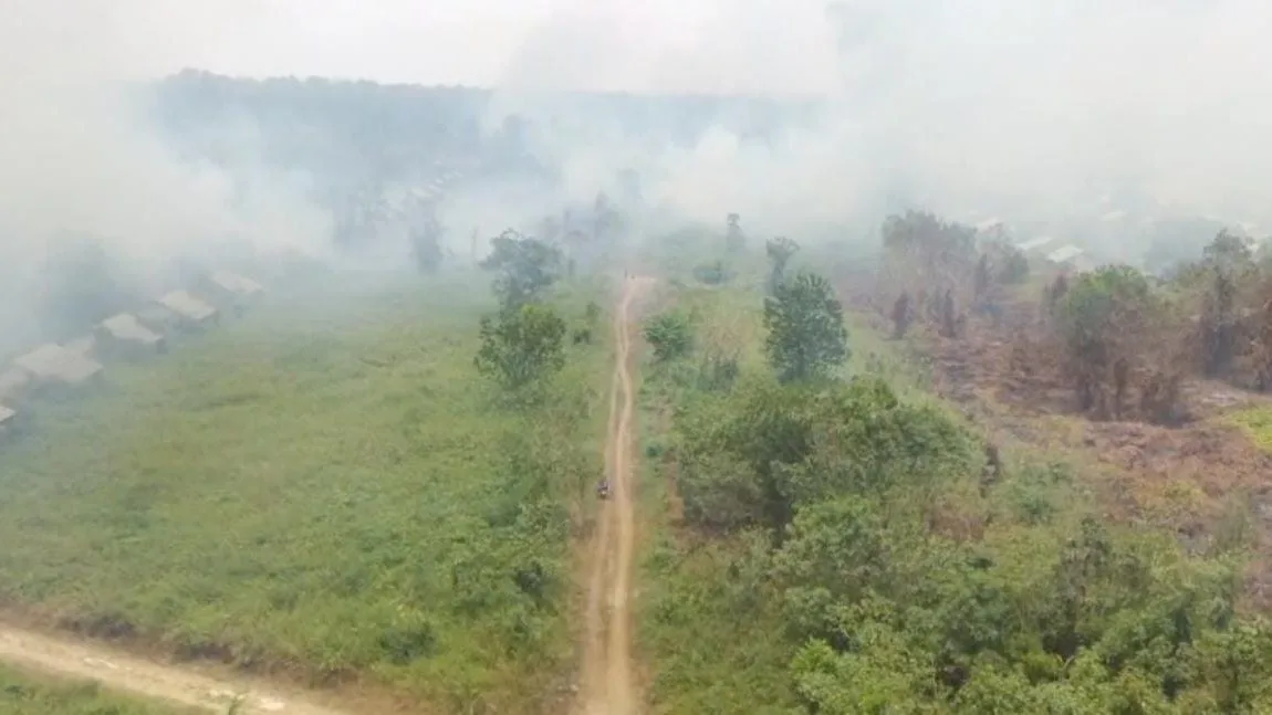 Api Karhutla Membesar di Belakang Perum Korpri Sambutan, Rumah Warga Terancam