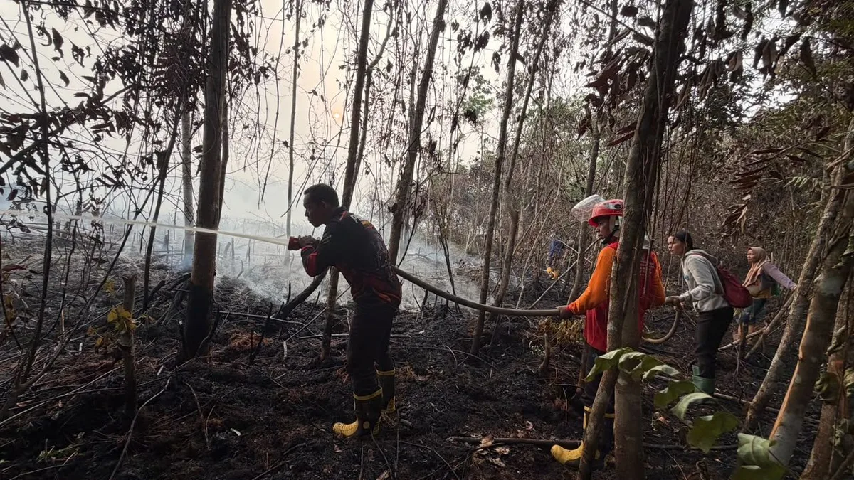 Dua Titik Karhutla di Linggang Amer Kubar, Empat Hektare Lahan Terbakar