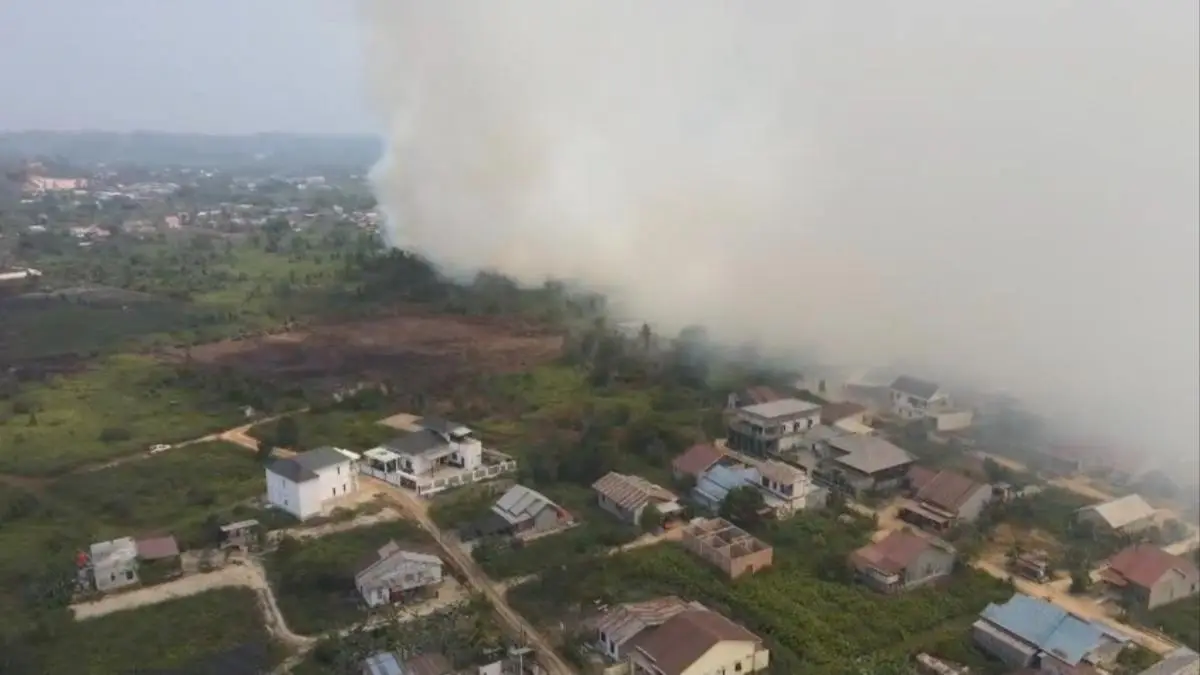 Potret udara kebakaran lahan yang terjadi di Belimau Lempake (Dok.Info Taruna Samarinda)