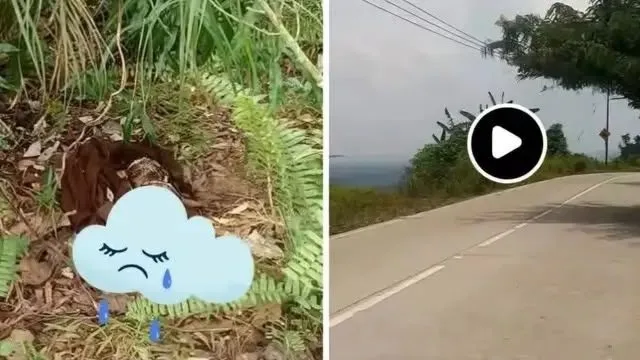 Tangkapan Layar Penemuan jasad bayi yang sebelumnya ditemukan di Jalur Poros SP1 Sebulu Modern. (Foto: Dok.Facebook)