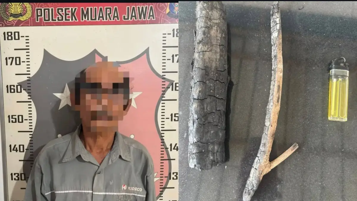 Nekat Buka Lahan Sawit dengan Cara Membakar Dekat Pipa Pertamina, Lansia di Muara Jawa Ditangkap Polisi