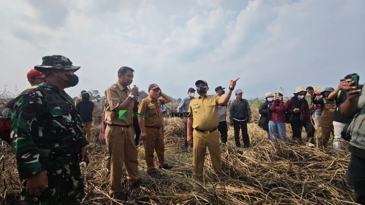 Karhutla Betapus Nyaris Landa Permukiman, Wawali Saefuddin Zuhri Soroti Sawah Kekeringan