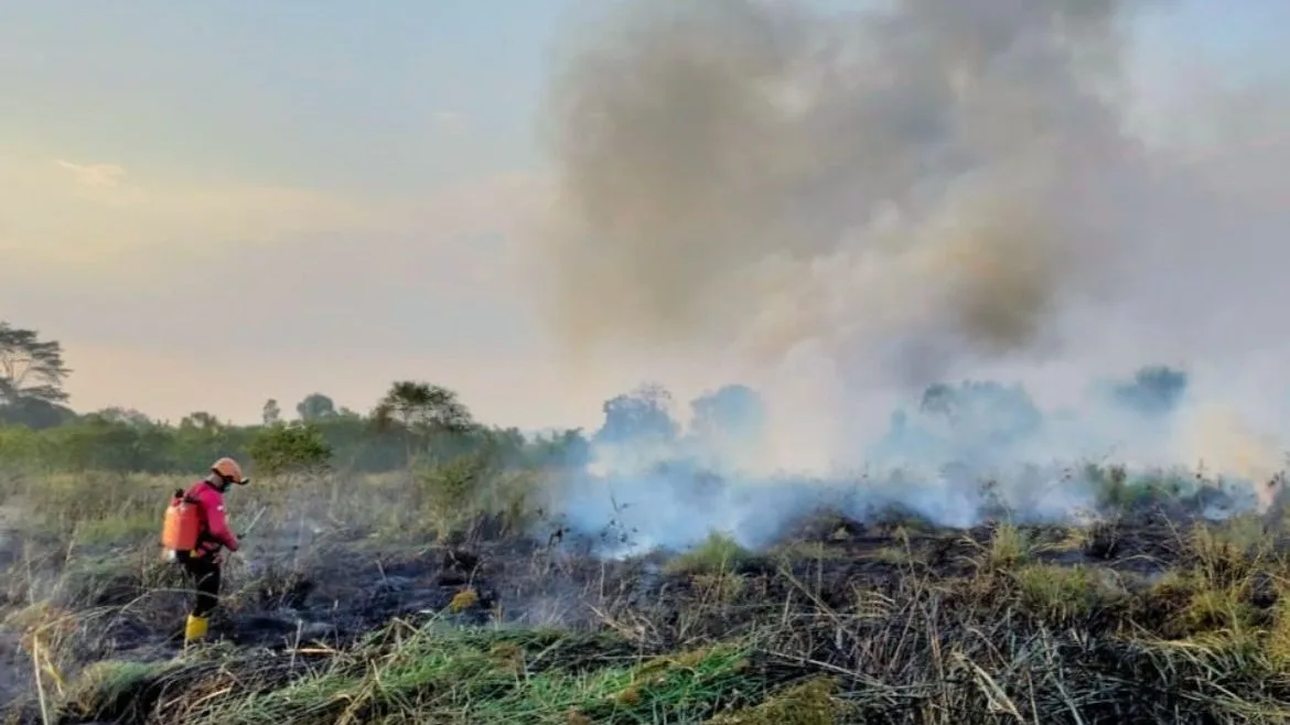 Petugas BPBD saat melakukan penanganan karhutla pada akhir Agustus lalu. Maraknya karhutla turuut berimbas pada menurunnya kualitas udara di Samarinda. (Foto: Dok.BPBD Samarinda)