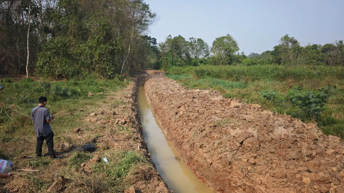 Di Sambutan Samarinda, 170 Hektare Sawah Krisis Air, 60 Persen Padi Terancam Gagal Panen